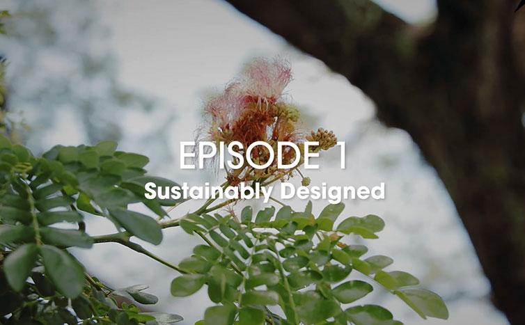 Episode 1: Sustainably Designed