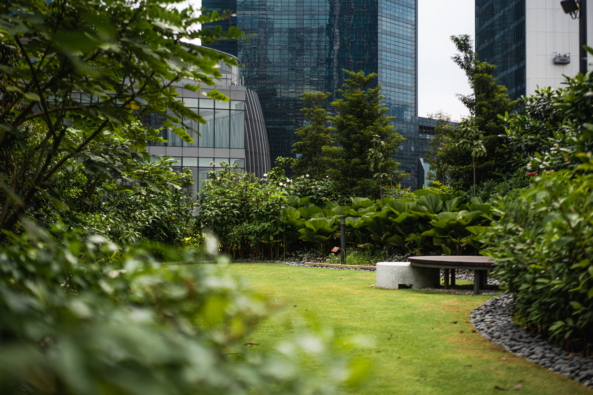 Seating areas in TRX City Park for quiet reflection amidst verdant landscapes
